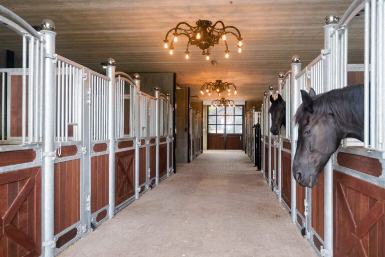 Top Rancher TOP Ranch Paardenstalling: luxe paardenhotel op de Veluwe