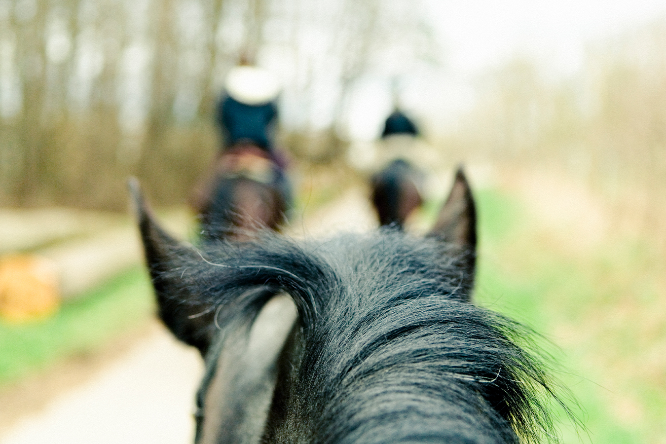 Kamp of clinic organiseren
